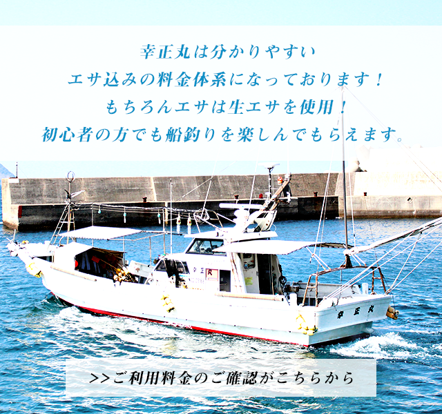 遊漁船 幸正丸(釣舟)長崎県平戸市の幸正丸は経験豊富な船長